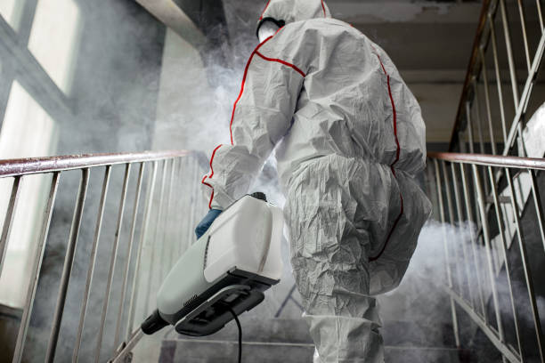 Mold Documentation for Insurance Claims in Freeport, NY